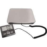 Digital Receiving Scale, 220 lbs. Cap., 1 lbs. Graduations Haskins Industrial Inc.