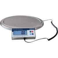 Keg Weighing Scale, 200 kg Capacity Haskins Industrial Inc.