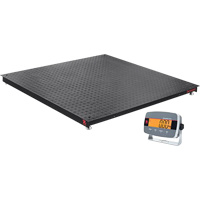 Defender 3000 Floor Scale, 5000 lbs. Capacity, 4' L x 4' W Haskins Industrial Inc.