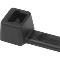 PA66 Cable Ties, 5-1/2" Long, 18 lbs. Tensile Strength, Black Haskins Industrial Inc.