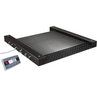 Defender 2500 Drum Scale, 500 lbs. Capacity, 2.5' L x 2.5' W Haskins Industrial Inc.