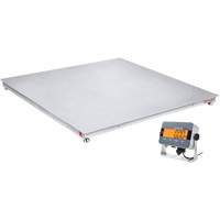DEFENDER 3000 Floor Scale, 2500 lbs. Capacity, 48" W x 48" L Haskins Industrial Inc.