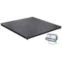 DEFENDER 5000 Floor Scale, 2500 lbs. Capacity, 48" W x 48" L Haskins Industrial Inc.