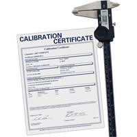 Digital Caliper with Traceable Certificate, 0.0005" (0.01 mm) Resolution, 0" - 12" (0 mm - 300 mm) Range Haskins Industrial Inc.