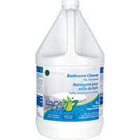 Nettoyant pour salle de bains - tuile, bain & cuvette, 4 L, Cruche Haskins Industrial Inc.