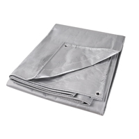 Tarp, Super Heavy-Duty, Silver, 10' x 8' x 12 mils Haskins Industrial Inc.