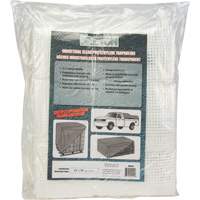 Clear Tarp, 12' x 10' x 8 mils Haskins Industrial Inc.