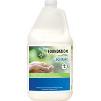Foundation Floor Sealers, 4 L, Jug Haskins Industrial Inc.