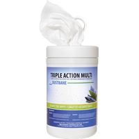 Triple Action Multi Disinfecting Wipes, 7" x 8", 120 Count Haskins Industrial Inc.