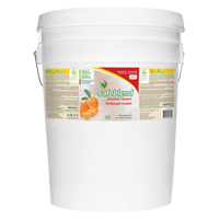 Nettoyant neutre, 20 L, Seau Haskins Industrial Inc.