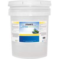 Dynamite Odourless Stripper & Degreaser, 20 L, Pail Haskins Industrial Inc.