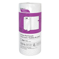 Pro Select Kitchen Towel Roll, 2 Ply, 250 Sheets/Roll, 8" W, 11" L Haskins Industrial Inc.