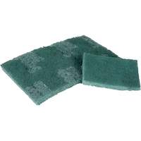 Scrubber Pad, 3" L x 4-1/2" W Haskins Industrial Inc.