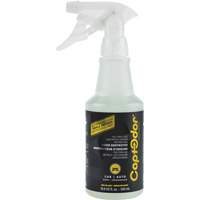 Car Upholstery Odour Destroyer Haskins Industrial Inc.