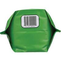 Nettoyant pour les mains biod&eacute;gradable, Poudre, 4,5 lb, Pochette, Sans parfum Haskins Industrial Inc.