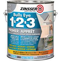 Appr&ecirc;t &agrave; base d'eau Bulls Eye 1-2-3, 3,78 L, Gallon, Gris Haskins Industrial Inc.