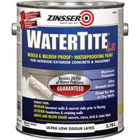 Peinture &agrave; l'&eacute;preuve de l'eau Mold & Mildew-Proof Watertite LX, 3,78 L, Gallon, Blanc Haskins Industrial Inc.