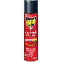 Raid&reg; Ant, Roach & Earwig Insect Killer, 350 g, Solvent Base Haskins Industrial Inc.