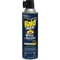 Mousse insecticide contre les gu&ecirc;pes et les frelons Raid Max, 500 g, Canette a&eacute;rosol, &agrave; base de solvant Haskins Industrial Inc.