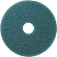Tampons &agrave; polir pour planchers Aqua, 19", Brunissage, Aqua Haskins Industrial Inc.