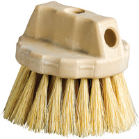 Round Cleaning Brush, 5" L, Tampico Bristles, Beige Haskins Industrial Inc.