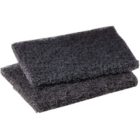 Scotch-Brite Griddle Polishing Pad, 4" L x 5" W Haskins Industrial Inc.