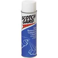 Carpet Spot Remover and Upholstery Cleaner, 17 oz., Aerosol Can Haskins Industrial Inc.