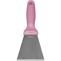 Grand racloir en acier inoxydable, Rose, 3" la x 9" lo Haskins Industrial Inc.