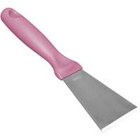 Grand racloir en acier inoxydable, Rose, 3" la x 9" lo Haskins Industrial Inc.
