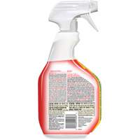 Disinfecting Bio Stain & Odour Remover, 946 ml, Trigger Bottle Haskins Industrial Inc.