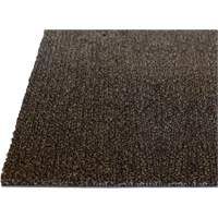 Tapis dint&eacute;rieur Palliser, Essuie-pieds/grattoir, 3-1/2' x 6' x 5/16", Anglis Haskins Industrial Inc.
