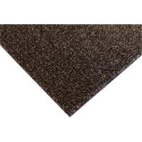 Tapis dint&eacute;rieur Palliser, Essuie-pieds/grattoir, 3-1/2' x 6' x 5/16", Anglis Haskins Industrial Inc.