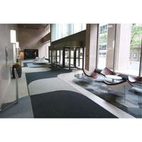 Tapis dentr&eacute;e Supreme Knob, Essuie-pieds/grattoir, 3-1/2' x 6' x 7/16", Charbon Haskins Industrial Inc.
