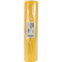 Hazardous Waste Liners, Asbestos, 40" L x 26" W, 3 mils Haskins Industrial Inc.