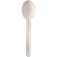 Bagasse Compostable Spoons Haskins Industrial Inc.