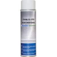 Stainless Steel Cleaner, 14 oz., Aerosol Can Haskins Industrial Inc.