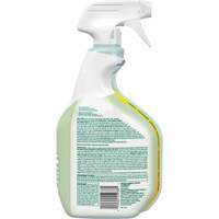 CloroxPro Clorox EcoClean Disinfecting Cleaner, 946 ml, Trigger Bottle Haskins Industrial Inc.