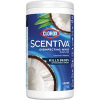 Disinfecting Wipes, 75 Count Haskins Industrial Inc.