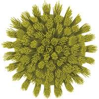 Brosse ronde HyDrive pour perceuse, Soies Tr&egrave;s ferme, Longueur de 3-1/10", Jaune Haskins Industrial Inc.