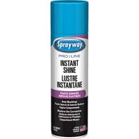 Pro Line Instant Shine for Plastic Surfaces, 11 oz., Aerosol Can Haskins Industrial Inc.