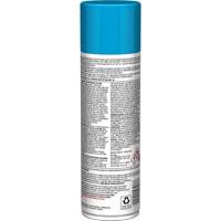 Pro Line Instant Shine for Plastic Surfaces, 11 oz., Aerosol Can Haskins Industrial Inc.
