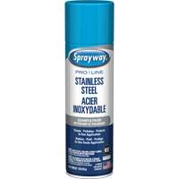 Nettoyant & polis pour acier inoxydable Pro Line, 15 oz, Canette a&eacute;rosol Haskins Industrial Inc.