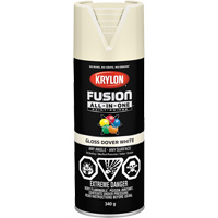 Fusion All-In-One Spray Paint, Dover White, Gloss, 12 oz., Aerosol Can Haskins Industrial Inc.