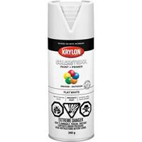 Appr&ecirc;t + peinture COLORmaxx, Blanc, Tr&egrave;s mat, 12 oz, Canette a&eacute;rosol Haskins Industrial Inc.