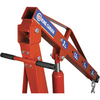 2-Ton Folding Shop Crane, 4000 lbs. (2 tons) Capacity Haskins Industrial Inc.