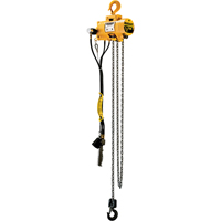 Budgit&reg; Air Chain Hoists Haskins Industrial Inc.