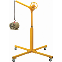 Tall Industrial Lifting Device with Mobile Base, 500 lbs. (0.25 tons) Capacity Haskins Industrial Inc.