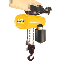 XL Series Air Chain Hoists Haskins Industrial Inc.