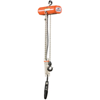 ShopStar Electric Hoists, 10' Lift, 250 lbs. (0.125 tons) Capacity, 16 FPM Haskins Industrial Inc.