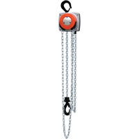 Hurricane 360° Chain Hoist, 10' Lift, 1000 lbs. (0.5 tons) Capacity, Steel Chain Haskins Industrial Inc.